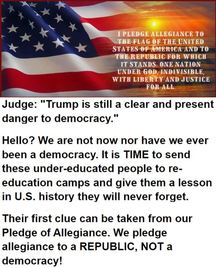 Judicial Ignorance: A Clear and Present Danger to Our REPUBLIC | image tagged in illiterate judges,illiterate republicans,illiterate democrats,reeducation camps,democracy,republic | made w/ Imgflip meme maker