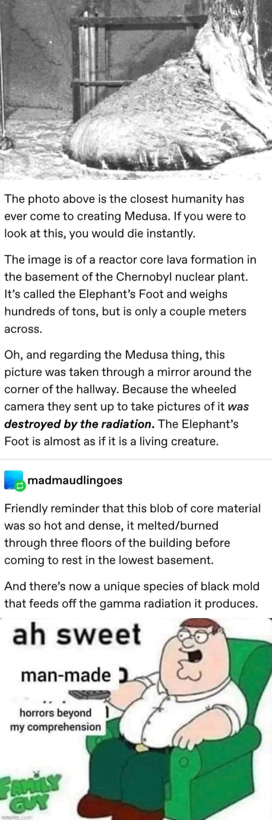 Ah yes, the Elephant’s Foot | image tagged in elephant s foot,ah sweet man-made horrors beyond my comprehension,radiation,nuclear,chernobyl,nope | made w/ Imgflip meme maker