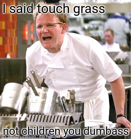 Chef Gordon Ramsay |  I said touch grass; not children you dumbass | image tagged in memes,chef gordon ramsay | made w/ Imgflip meme maker