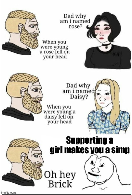 Want me to pay for your Therapy? | Supporting a girl makes you a simp | image tagged in oh hey brick,simp,dumbass | made w/ Imgflip meme maker