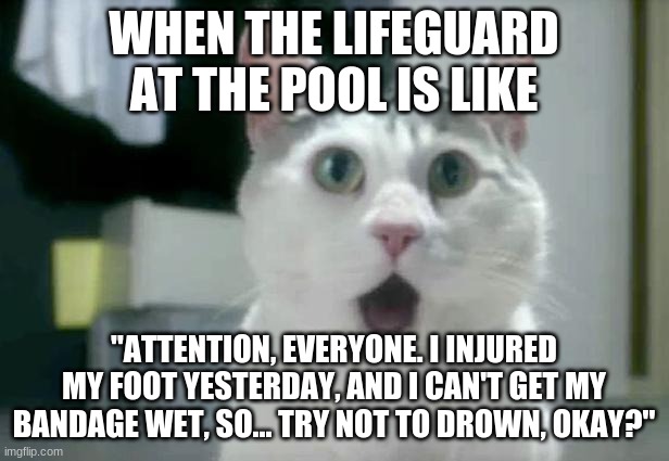 Why did he (or she, if it's a woman lifeguard) even come to work anyway? |  WHEN THE LIFEGUARD AT THE POOL IS LIKE; "ATTENTION, EVERYONE. I INJURED MY FOOT YESTERDAY, AND I CAN'T GET MY BANDAGE WET, SO... TRY NOT TO DROWN, OKAY?" | image tagged in memes,omg cat,lifeguard,swimming pool,summer,so yeah | made w/ Imgflip meme maker