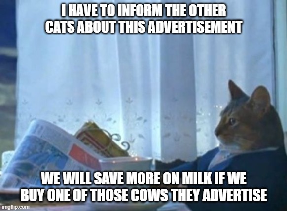 Cat discovers the origin of milk... | I HAVE TO INFORM THE OTHER CATS ABOUT THIS ADVERTISEMENT; WE WILL SAVE MORE ON MILK IF WE BUY ONE OF THOSE COWS THEY ADVERTISE | image tagged in memes,i should buy a boat cat | made w/ Imgflip meme maker