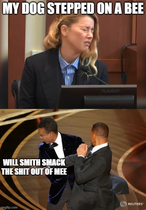 MY DOG STEPPED ON A BEE; WILL SMITH SMACK THE SHIT OUT OF MEE | image tagged in amber heard dog stepped on a bee,will smith punching chris rock | made w/ Imgflip meme maker