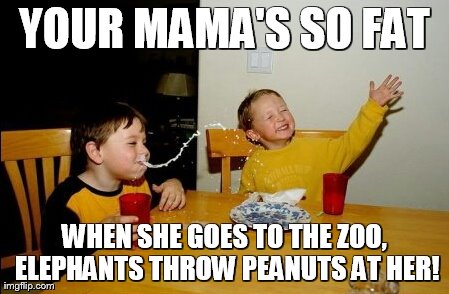 Yo Mamas So Fat | YOUR MAMA'S SO FAT WHEN SHE GOES TO THE ZOO, ELEPHANTS THROW PEANUTS AT HER! | image tagged in memes,yo mamas so fat | made w/ Imgflip meme maker