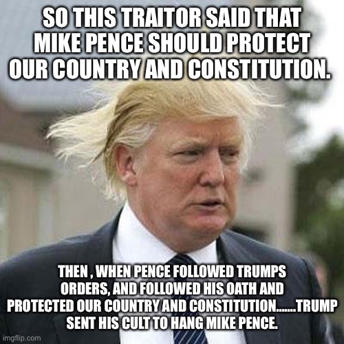 Donald Trump | SO THIS TRAITOR SAID THAT MIKE PENCE SHOULD PROTECT OUR COUNTRY AND CONSTITUTION. THEN , WHEN PENCE FOLLOWED TRUMPS ORDERS, AND FOLLOWED HIS OATH AND PROTECTED OUR COUNTRY AND CONSTITUTION…….TRUMP SENT HIS CULT TO HANG MIKE PENCE. | image tagged in donald trump | made w/ Imgflip meme maker