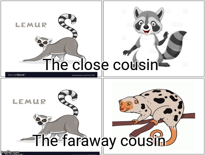 Blank Comic Panel 2x2 Meme | The close cousin; The faraway cousin | image tagged in memes,blank comic panel 2x2 | made w/ Imgflip meme maker