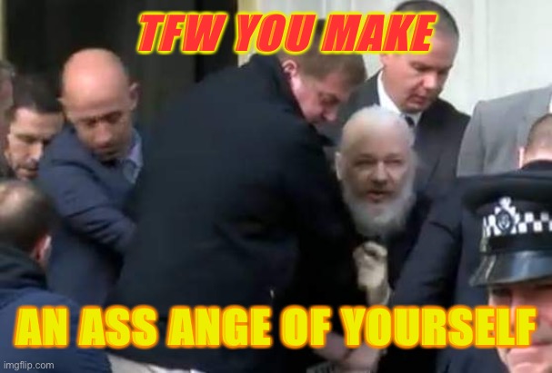 tfw you make  an ass ange of yourself | TFW YOU MAKE; AN ASS ANGE OF YOURSELF | image tagged in julian assange arrested | made w/ Imgflip meme maker