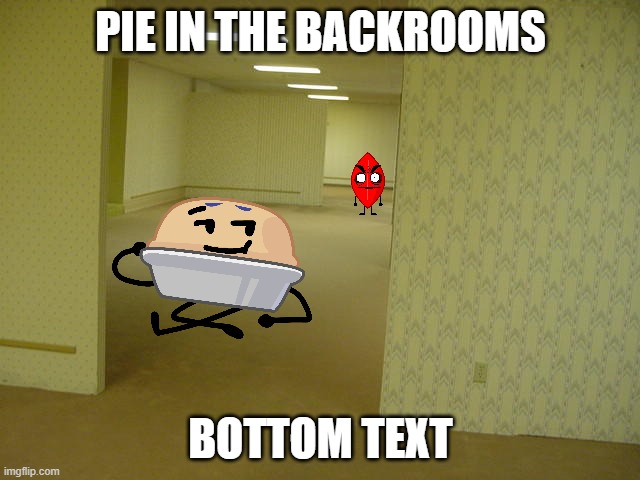 pie goes to the backrooms | PIE IN THE BACKROOMS; BOTTOM TEXT | image tagged in the backrooms,bfdi | made w/ Imgflip meme maker