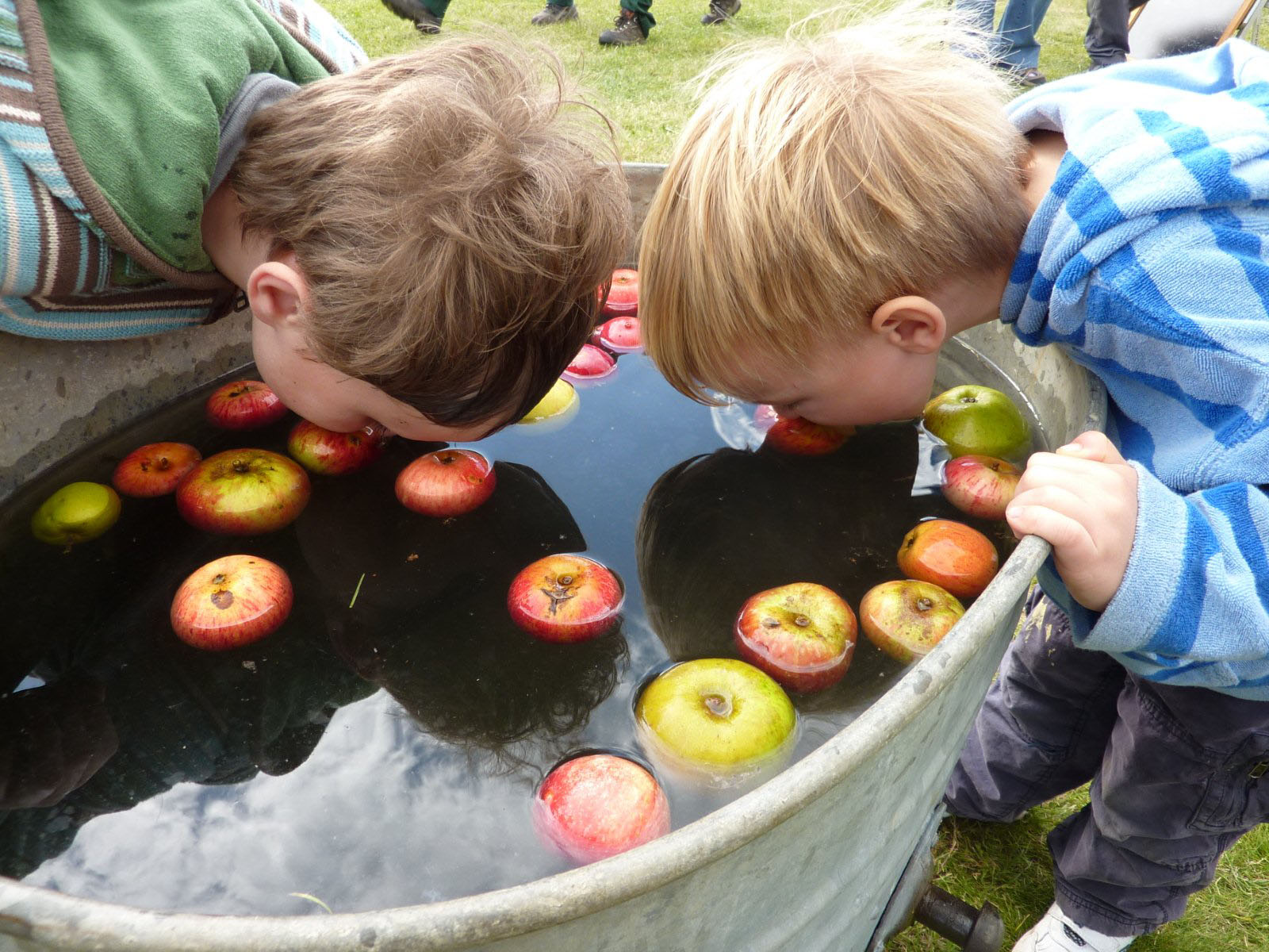 Dunking Apples Blank Meme Template