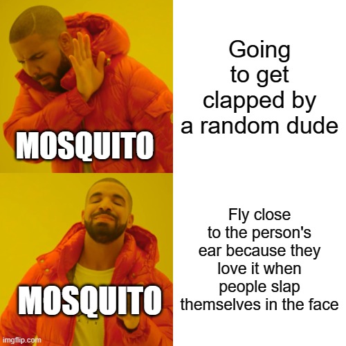 They keep playing their own music on my ears | Going to get clapped by a random dude; MOSQUITO; Fly close to the person's ear because they love it when people slap themselves in the face; MOSQUITO | image tagged in memes,drake hotline bling | made w/ Imgflip meme maker