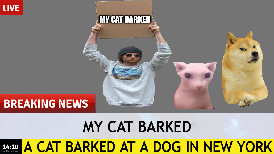 do cats bark? | MY CAT BARKED; MY CAT BARKED; A CAT BARKED AT A DOG IN NEW YORK | image tagged in breaking news template,cat | made w/ Imgflip meme maker
