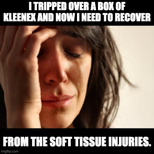 Tissue | I TRIPPED OVER A BOX OF KLEENEX AND NOW I NEED TO RECOVER; FROM THE SOFT TISSUE INJURIES. | image tagged in memes,first world problems | made w/ Imgflip meme maker