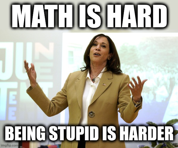 400 years of slavery | MATH IS HARD; BEING STUPID IS HARDER | image tagged in memes,kamala harris,democrats,math is hard,400 years of slavery,stupid | made w/ Imgflip meme maker