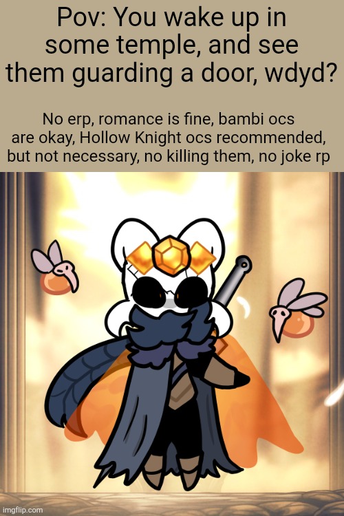 Title | Pov: You wake up in some temple, and see them guarding a door, wdyd? No erp, romance is fine, bambi ocs are okay, Hollow Knight ocs recommended, but not necessary, no killing them, no joke rp | image tagged in hollow knight | made w/ Imgflip meme maker