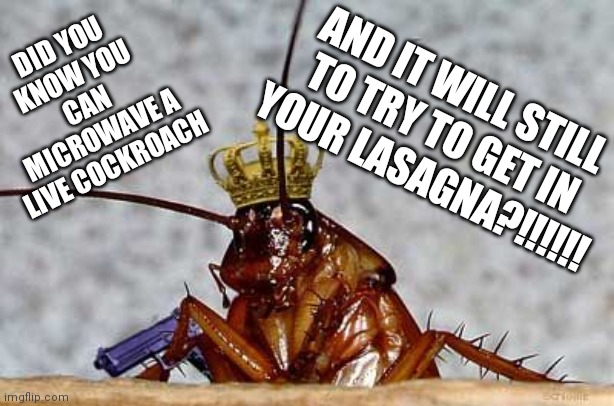 Kill it with a Shoe! | DID YOU KNOW YOU CAN MICROWAVE A LIVE COCKROACH; AND IT WILL STILL TO TRY TO GET IN YOUR LASAGNA?!!!!!! | image tagged in cockroach king,microwave,laughing | made w/ Imgflip meme maker