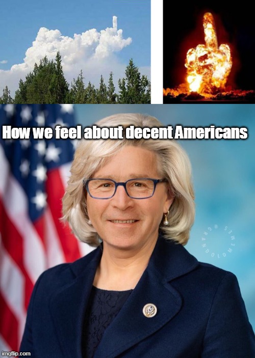 How we feel about decent Americans | made w/ Imgflip meme maker