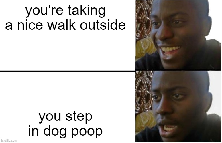 free epic gundain | you're taking a nice walk outside; you step in dog poop | image tagged in disappointed black guy | made w/ Imgflip meme maker