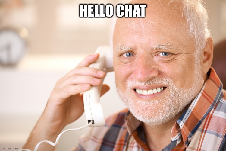 Mornin’ | HELLO CHAT | image tagged in hide the pain harold phone | made w/ Imgflip meme maker