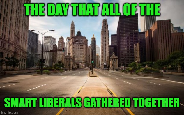 Empty Streets | THE DAY THAT ALL OF THE SMART LIBERALS GATHERED TOGETHER | image tagged in empty streets | made w/ Imgflip meme maker