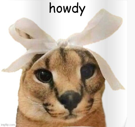 hi fellow peeps | howdy | image tagged in miss floppa | made w/ Imgflip meme maker