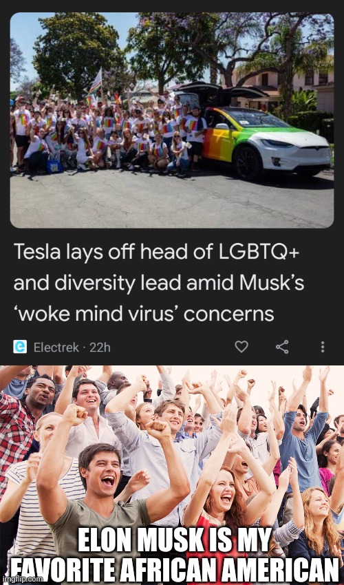 Yeah! Way to go Elon! | ELON MUSK IS MY FAVORITE AFRICAN AMERICAN | image tagged in crowd cheering | made w/ Imgflip meme maker