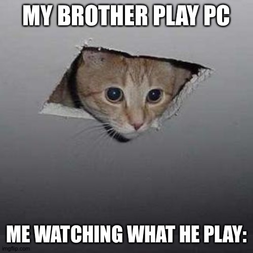 Ceiling Cat | MY BROTHER PLAY PC; ME WATCHING WHAT HE PLAY: | image tagged in memes,ceiling cat | made w/ Imgflip meme maker
