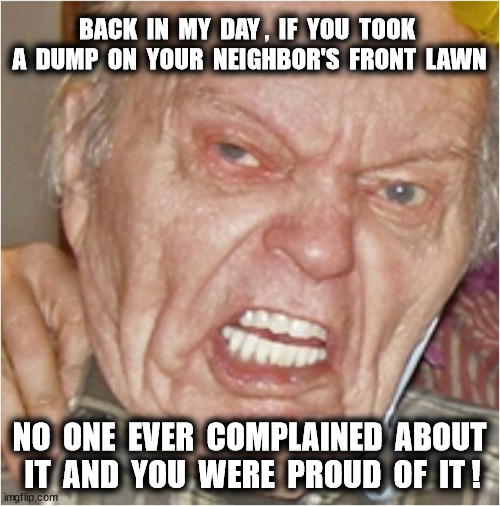 BACK  IN  MY  DAY ,  IF  YOU  TOOK  A  DUMP  ON  YOUR  NEIGHBOR'S  FRONT  LAWN NO  ONE  EVER  COMPLAINED  ABOUT  IT  AND  YOU  WERE  PROUD   | made w/ Imgflip meme maker