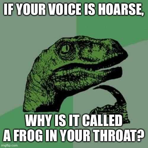 Philosoraptor Meme | IF YOUR VOICE IS HOARSE, WHY IS IT CALLED A FROG IN YOUR THROAT? | image tagged in memes,philosoraptor | made w/ Imgflip meme maker