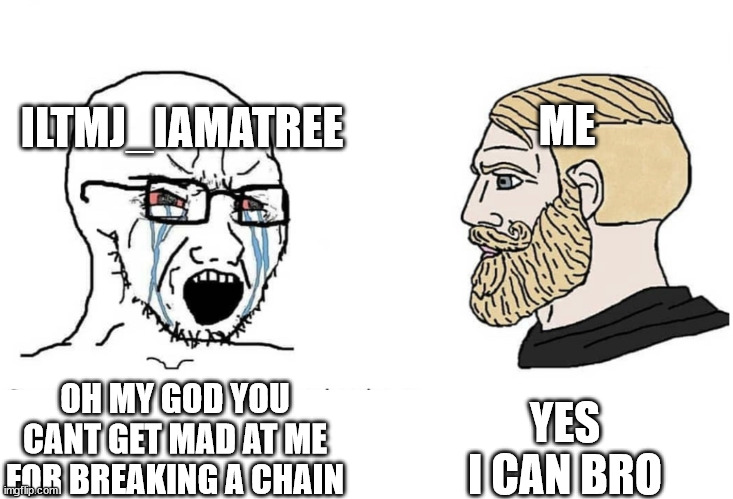 the first iltmj_iamatree slander meme | ME; ILTMJ_IAMATREE; YES I CAN BRO; OH MY GOD YOU CANT GET MAD AT ME FOR BREAKING A CHAIN | image tagged in soyboy vs yes chad | made w/ Imgflip meme maker