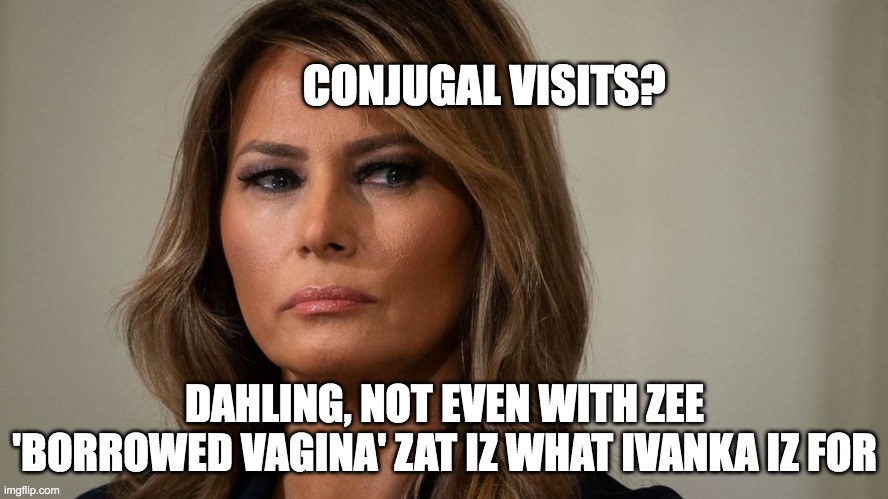I wouldn't fuck that with a borrowed vagina | CONJUGAL VISITS? DAHLING, NOT EVEN WITH ZEE 'BORROWED VAGINA' ZAT IZ WHAT IVANKA IZ FOR | image tagged in melania trump,ivanka | made w/ Imgflip meme maker