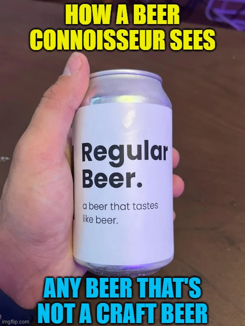 HOW A BEER CONNOISSEUR SEES; ANY BEER THAT'S NOT A CRAFT BEER | image tagged in beer,cold beer here,the most interesting man in the world,craft beer,budweiser,hold my beer | made w/ Imgflip meme maker