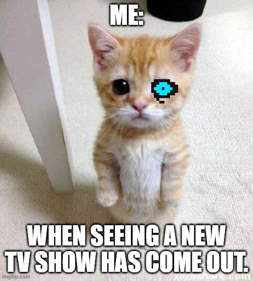 am back after HALF A YEAR | ME:; WHEN SEEING A NEW TV SHOW HAS COME OUT. | image tagged in memes,cute cat | made w/ Imgflip meme maker