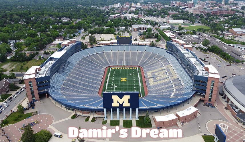 Michigan Stadium | Damir's Dream | image tagged in michigan stadium,damir's dream | made w/ Imgflip meme maker