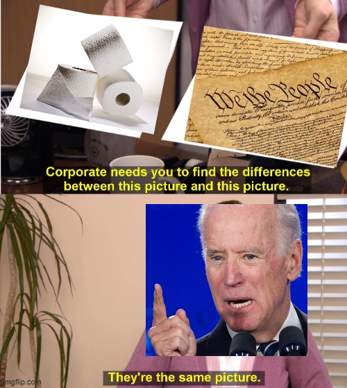 Joe Biden wipes his ass with the Constitution | image tagged in memes,they're the same picture | made w/ Imgflip meme maker