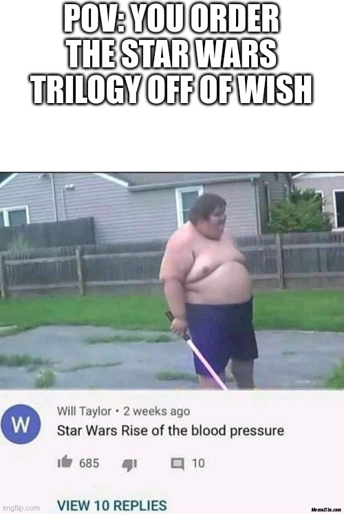 fake stuff | POV: YOU ORDER THE STAR WARS TRILOGY OFF OF WISH | image tagged in fat man | made w/ Imgflip meme maker