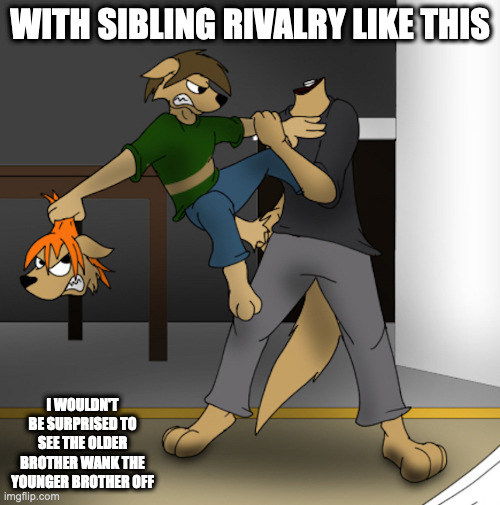 Anthropomorphic Sibling Rivalry | WITH SIBLING RIVALRY LIKE THIS; I WOULDN'T BE SURPRISED TO SEE THE OLDER BROTHER WANK THE YOUNGER BROTHER OFF | image tagged in sibling rivalry,memes | made w/ Imgflip meme maker