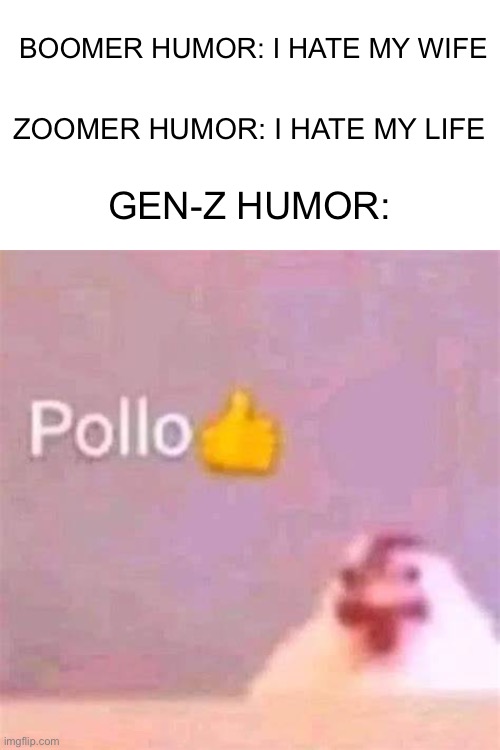 Pollo |  BOOMER HUMOR: I HATE MY WIFE; ZOOMER HUMOR: I HATE MY LIFE; GEN-Z HUMOR: | image tagged in gen z humor,boomer,zoomer,memes,unfunny,humor | made w/ Imgflip meme maker