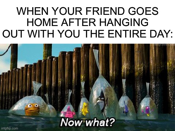 This is the most quiet feeling ever | WHEN YOUR FRIEND GOES HOME AFTER HANGING OUT WITH YOU THE ENTIRE DAY: | image tagged in now what,memes,funny,funny memes,relatable,relatable memes | made w/ Imgflip meme maker