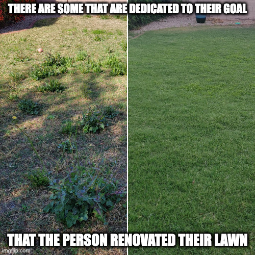 New Lawn | THERE ARE SOME THAT ARE DEDICATED TO THEIR GOAL; THAT THE PERSON RENOVATED THEIR LAWN | image tagged in memes,lawn,home | made w/ Imgflip meme maker
