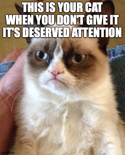 I've done this once | THIS IS YOUR CAT WHEN YOU DON'T GIVE IT IT'S DESERVED ATTENTION | image tagged in memes,grumpy cat | made w/ Imgflip meme maker
