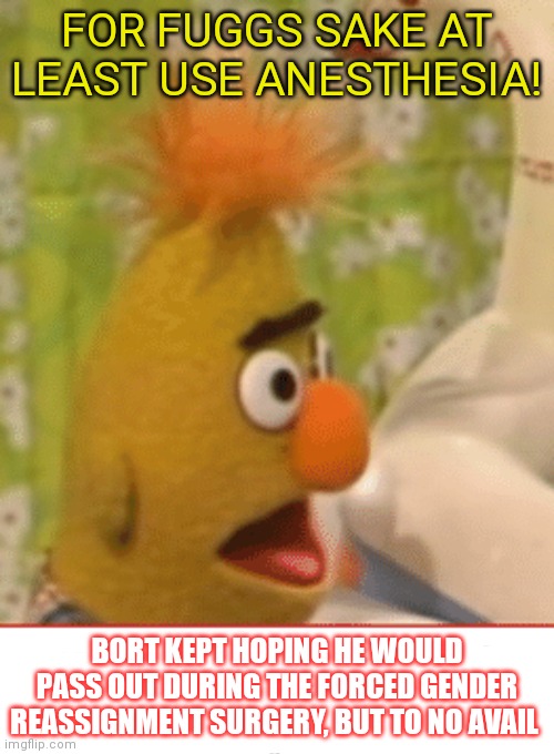 Sesame street lost episodes | FOR FUGGS SAKE AT LEAST USE ANESTHESIA! BORT KEPT HOPING HE WOULD PASS OUT DURING THE FORCED GENDER REASSIGNMENT SURGERY, BUT TO NO AVAIL | image tagged in but why why would you do that,bert and ernie,sesame street,forced gender reassignment,surgery | made w/ Imgflip meme maker
