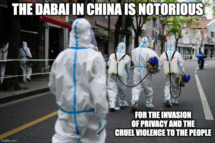 Dabai | THE DABAI IN CHINA IS NOTORIOUS; FOR THE INVASION OF PRIVACY AND THE CRUEL VIOLENCE TO THE PEOPLE | image tagged in covid-19,dabai,china,memes | made w/ Imgflip meme maker