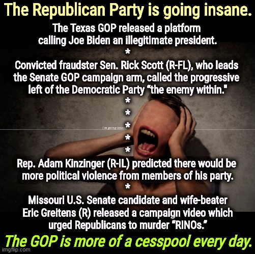 This just in: Herschel Walker says if Jesus could have three manifestations, he can have multiple personalities. Argh. | The Republican Party is going insane. The Texas GOP released a platform 
calling Joe Biden an illegitimate president.
*
Convicted fraudster Sen. Rick Scott (R-FL), who leads 
the Senate GOP campaign arm, called the progressive 
left of the Democratic Party “the enemy within."
*
*
*
*
*
Rep. Adam Kinzinger (R-IL) predicted there would be 
more political violence from members of his party.
*
Missouri U.S. Senate candidate and wife-beater
Eric Greitens (R) released a campaign video which
urged Republicans to murder “RINOs.”; The GOP is more of a cesspool every day. | image tagged in gop,republican party,violent,insane | made w/ Imgflip meme maker