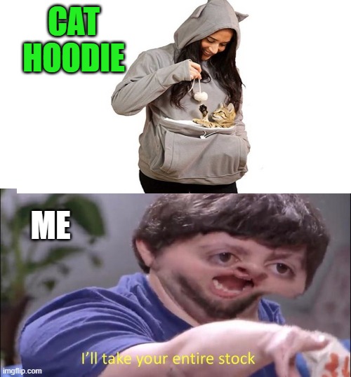 CAT HOODIE; ME | image tagged in i'll take your entire stock,cat,hoodie,walmart,meow,kitty | made w/ Imgflip meme maker