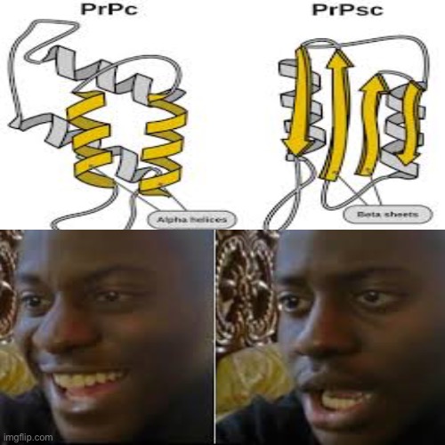 Prion Meme | image tagged in disease | made w/ Imgflip meme maker