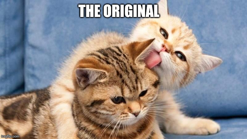 THE ORIGINAL | made w/ Imgflip meme maker