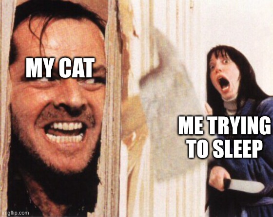 Here's jonny | MY CAT; ME TRYING TO SLEEP | image tagged in here's jonny | made w/ Imgflip meme maker