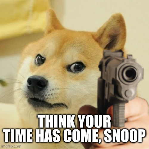 Doge holding a gun | THINK YOUR TIME HAS COME, SNOOP | image tagged in doge holding a gun | made w/ Imgflip meme maker