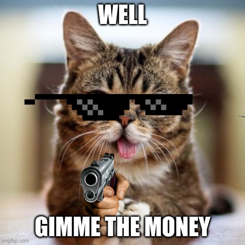 lil BUB | WELL; GIMME THE MONEY | image tagged in memes | made w/ Imgflip meme maker