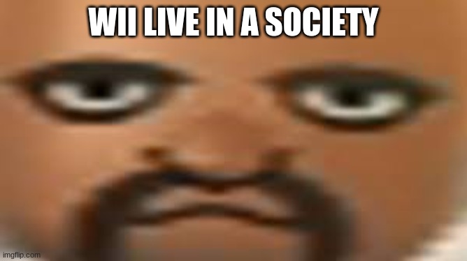 Matt | WII LIVE IN A SOCIETY | image tagged in matt | made w/ Imgflip meme maker